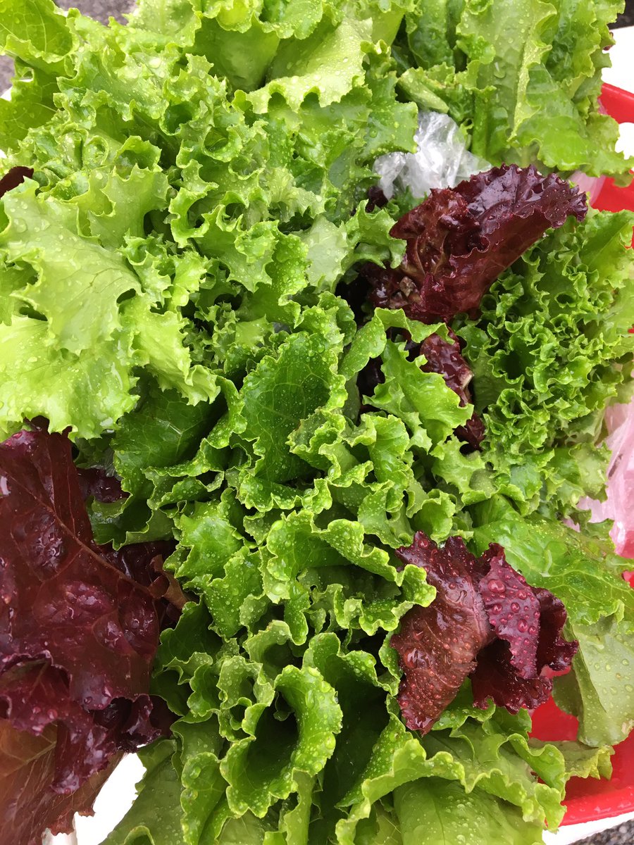 GregFischerLou's tweet photo. Farmers markets unite!Lou Farmers Market Association will work to expand fresh food options. We spend $2B on food in Lou $300M on local food https://t.co/8fIMzezWIP