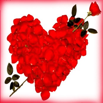 <a href="/Pyaari_Payal/">Payal (°●́‿●°̀) #NKS</a> <a href="/sahajyoti3/">Jyoti</a> <a href="/jojoawana/">jyoti awana</a> <a href="/Nilz_97/">Nil_z97</a> <a href="/pooran775/">Pooran Singh</a> <a href="/PoojaSangwan15/">Pooja Sangwan</a> @iam_spl_ <a href="/VishalSatra1/">VishaL .</a> @sanjaisharma17 @Pankaj85365826 @manjuthakur937 @kumarisuhani055 <a href="/joshimadhvi2/">Madhvpriya🇮🇳</a> <a href="/Nniisha_/">🐬 ղííㄅɦɑ</a> <a href="/Malhotra10Neha/">Neha Malhotra</a> <a href="/parul19807/">Parul sharma</a> <a href="/vritika03/">Vritika Bhadauria</a> 😍खुसरो रैन सुहाग की, जागी पी के संग...

तन मेरो मन पियो को, दोउ भए एक रंग  ...💙💟💜

#अमीर खुसरो 👌