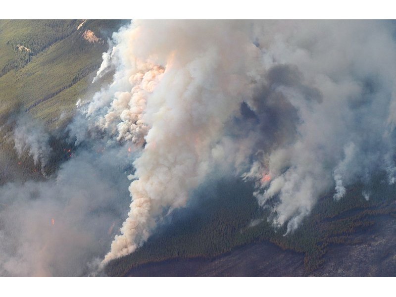 Forest Fire Numbers are Below Average dlvr.it/PDyJq7 https://t.co/hV0snky3UW