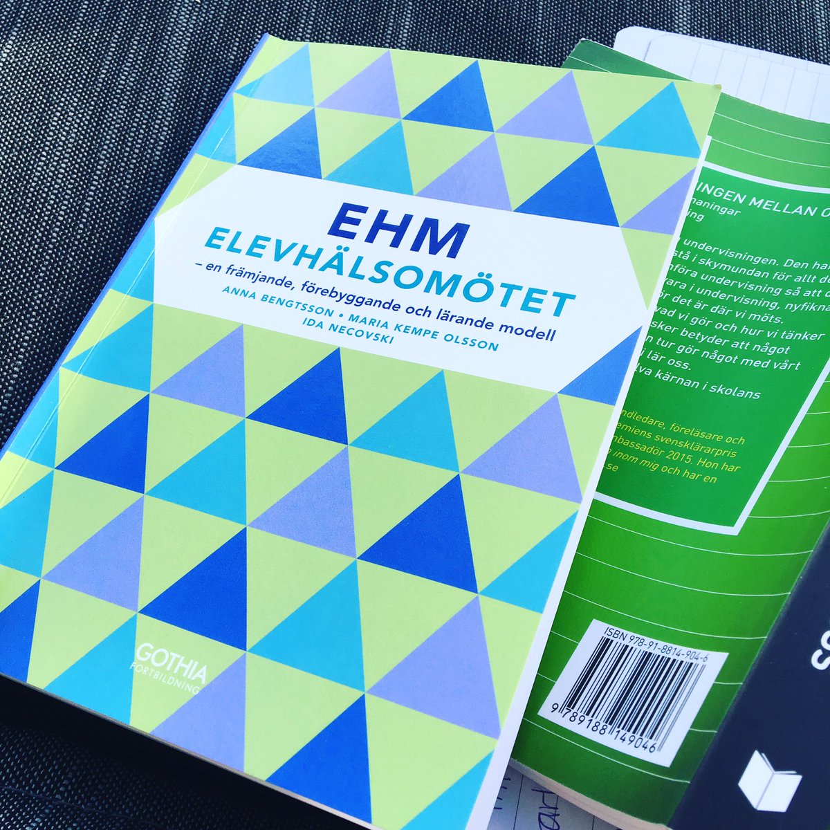 Den här fick följa med ut i solen idag ett riktigt bra sällskap <a href="/RektorMaria/">Maria Kempe Olsson</a>