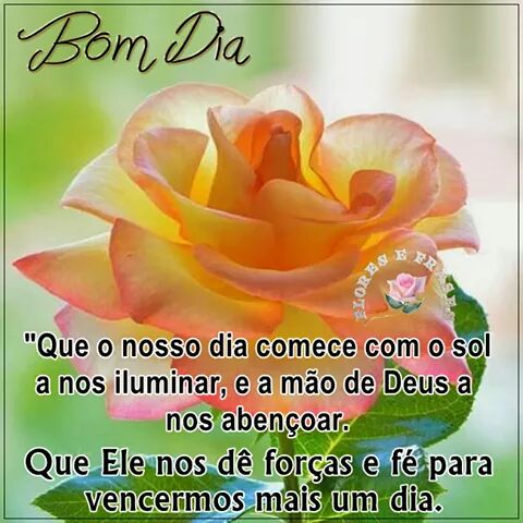 Socorro Galvão (@sosgalvao7) on Twitter photo 