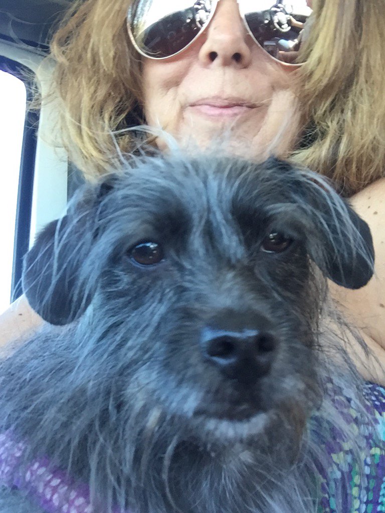 SusanGr00164574's tweet photo. Sukie loves her road trips🐾 https://t.co/HLG8z5mVeI