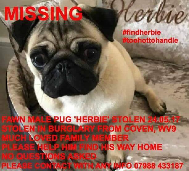 <a href="/JodieMarsh/">Jodie Marsh</a> <a href="/AmyChildsSalon/">Amy Childs Clinic</a>