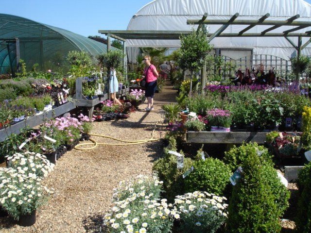 Exoticgardenco's tweet photo. #Oasis of calm on the edge #Aldeburgh marshes,8 #secretshops. open throughout the #bankholiday.#aldeburghcafe now open 7 days a week. https://t.co/Rs5EbZrWrd