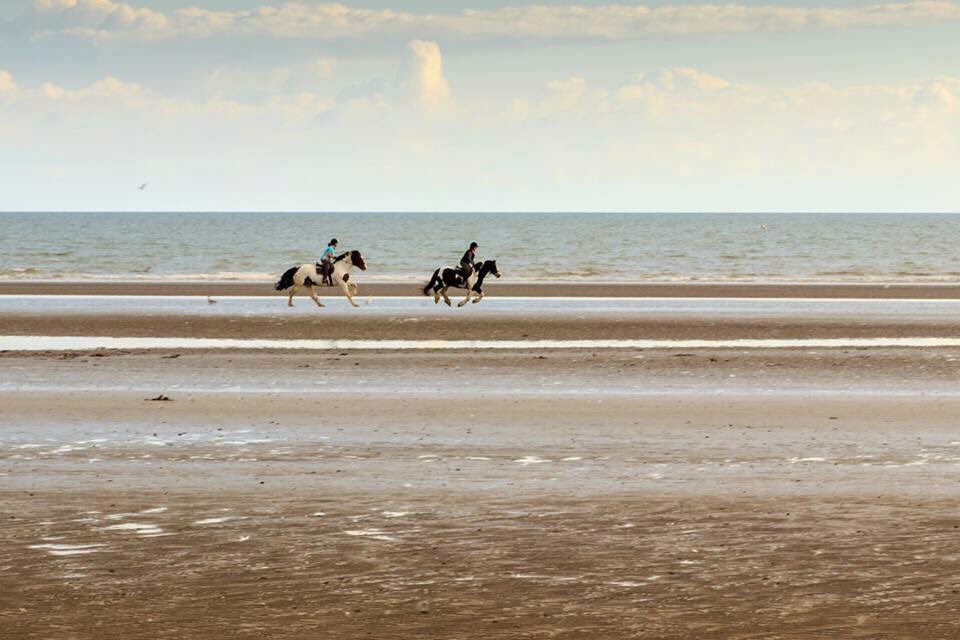 realKCC's tweet photo. Well done to Brian O'Neill who is our Intermediate Photographer of the year #photography #kellscameraclub #photographeroftheyear https://t.co/UfH76YoVtN