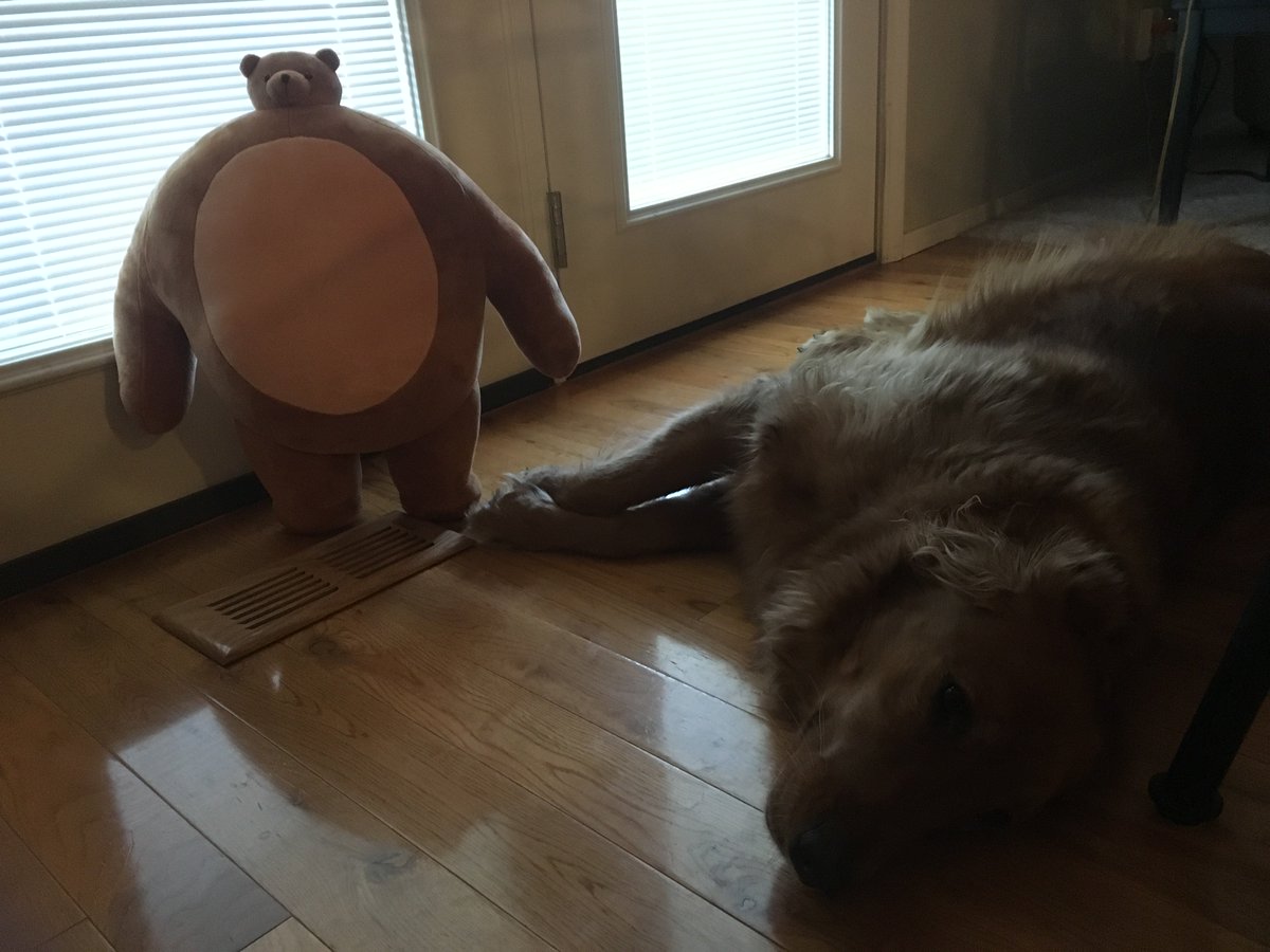 EnderTheUser's tweet photo. The small head teddy bear has arrived, and @CaiaphasVG made edits. https://t.co/2fIW8r5y2I