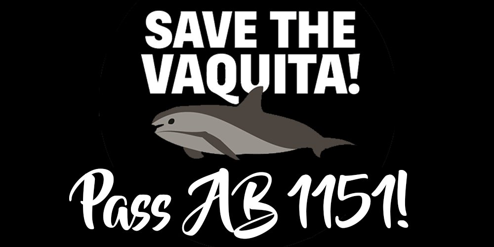 Defenders's tweet photo. Please retweet to show @LorenaAD80 that you support @AsmToddGloria's bill AB-1151 &amp; the effort to save the vaquita porpoise from extinction! https://t.co/zckGEDcJG3