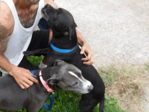 JurassicBark_'s tweet photo. Blackie,TASED by HPD after she defended her homeless dad.She grabbed HPD pant leg.He TASED her,threw her limp body in a car. #WheresBlackie https://t.co/R6WmTBCROm