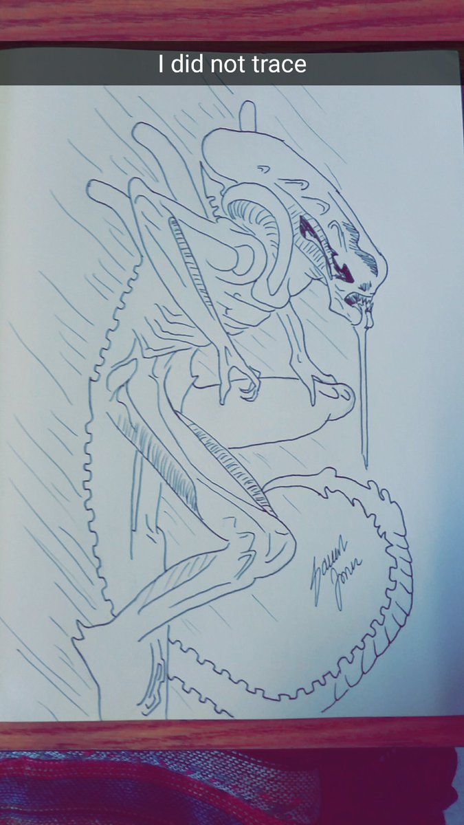 SarahAnneJones8's tweet photo. I drew this at school, I did use reference
#alienopening #xenomorph https://t.co/Wp6LMKNHg6
