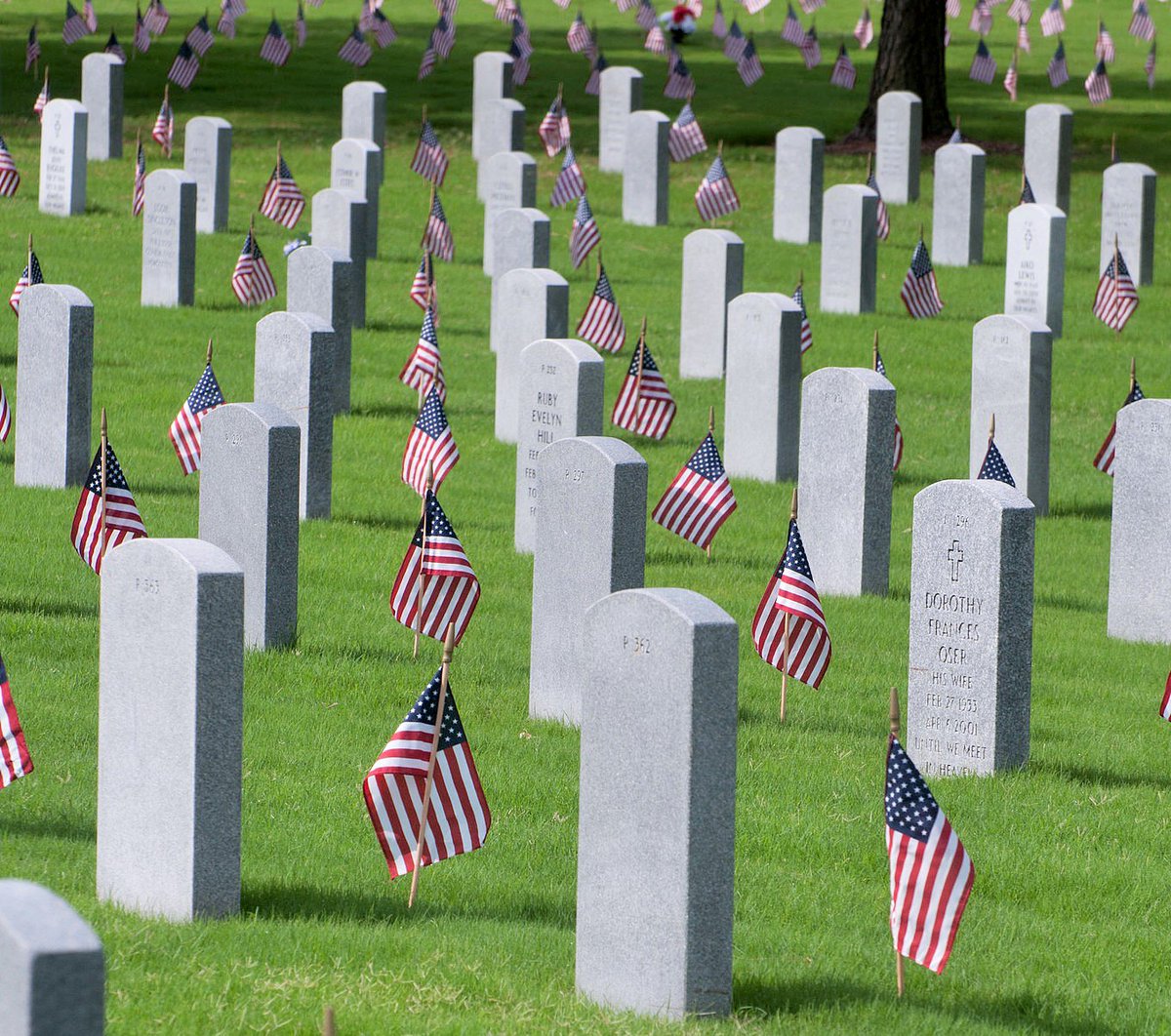 RedCrossTXGC's tweet photo. Interested in volunteering for a #MemorialDay #FlagsForTheFallen event? Contact: David.Carpentier@redcross.org or call (713) 313-1655 https://t.co/4b9SxwxZpK