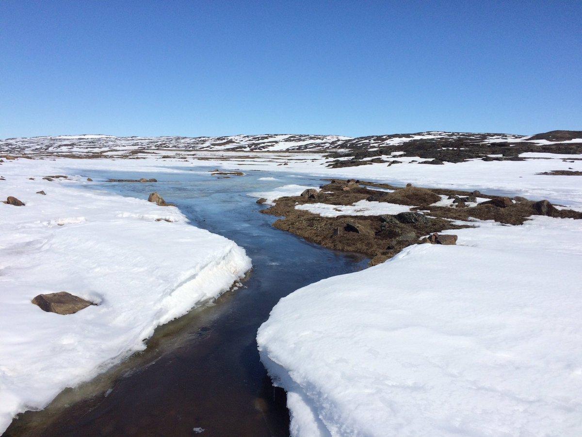 A view from Sylvia Grinnell Park this morning. Charles and Camilla will be guests at a barbecue here in a month.