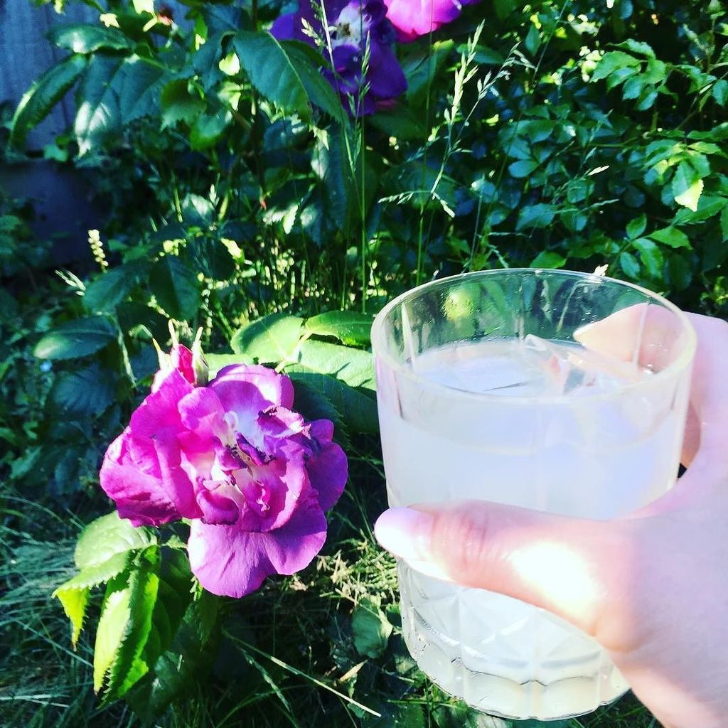 Cheers to the sun!  太陽に乾杯！ #bombaysaphire #drinksinthegarden #london #お庭でドリンク #ロンドン日記 #gin #ginwillfixit #酒呑みの自己弁護 ift.tt/2rlEJaj