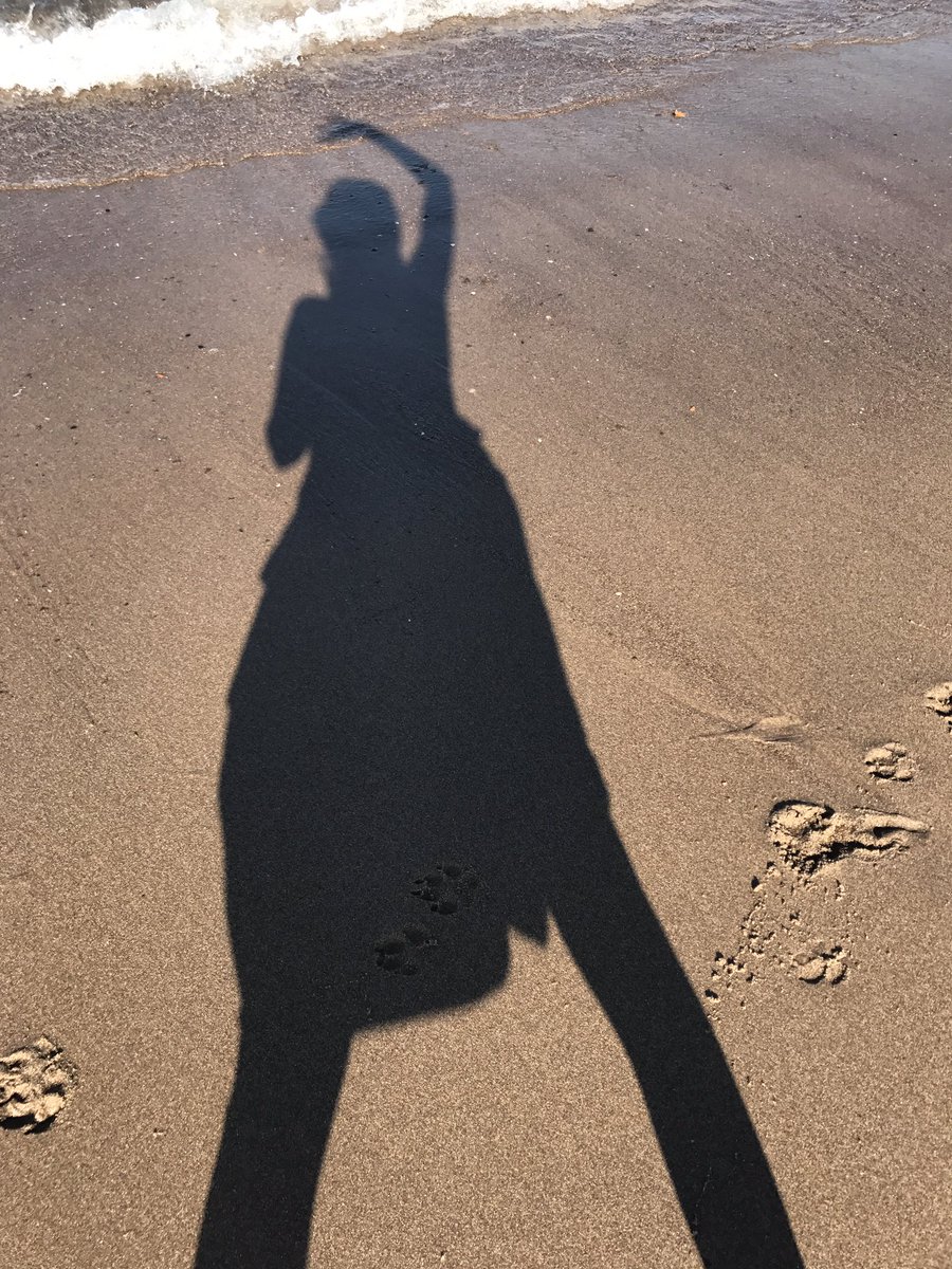 sjholt50's tweet photo. Dance like there's no one there ( because there wasn't) 💃🌊🌞💙 #warkworth #beachdance https://t.co/yRNd4bdqNg
