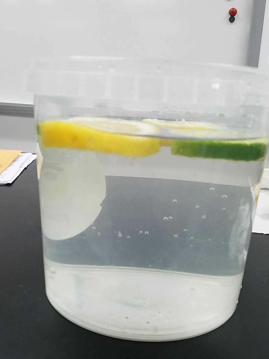 BK3DSci's tweet image. Today&apos;s #phenomena: Why do lemons float &amp;amp; limes sink? Why are both floating in the in class demo? #ScienceProcess #NGSS