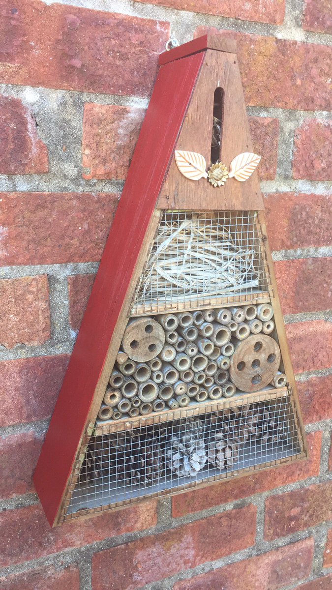 I've had bee hotels for years and never get tired of watching them. Fascinating.