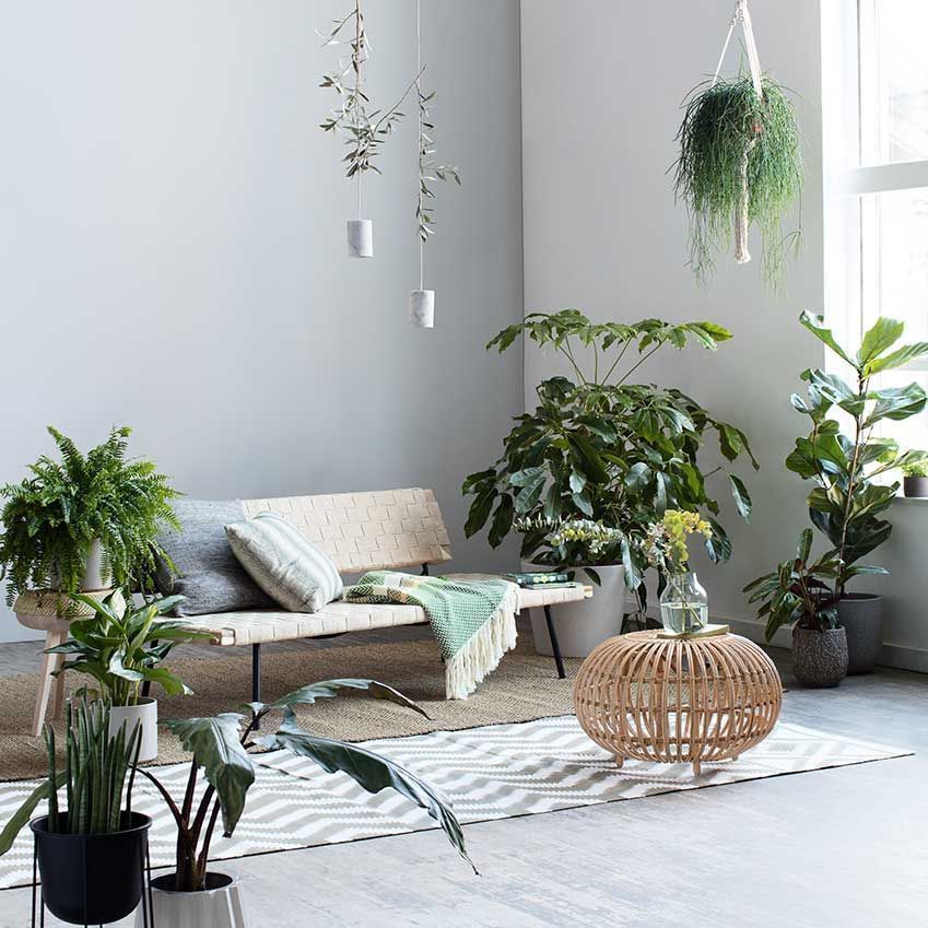 ELLEDecoUK's tweet photo. Every home needs houseplants! Discover the 6 best ways to display yours – https://t.co/IHGmAPZc4L #EDJun17
#rhschelsea2017 https://t.co/v8hsPuALxJ