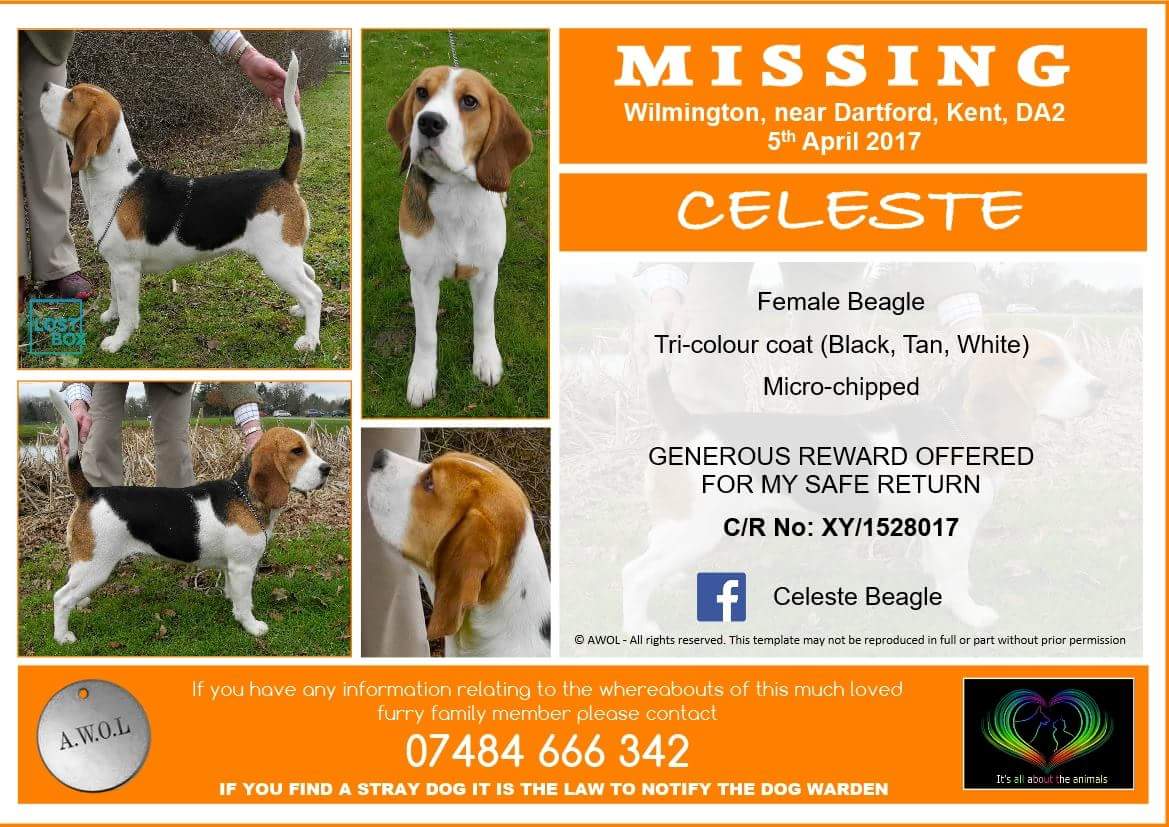 Lostbox - South East tweet media