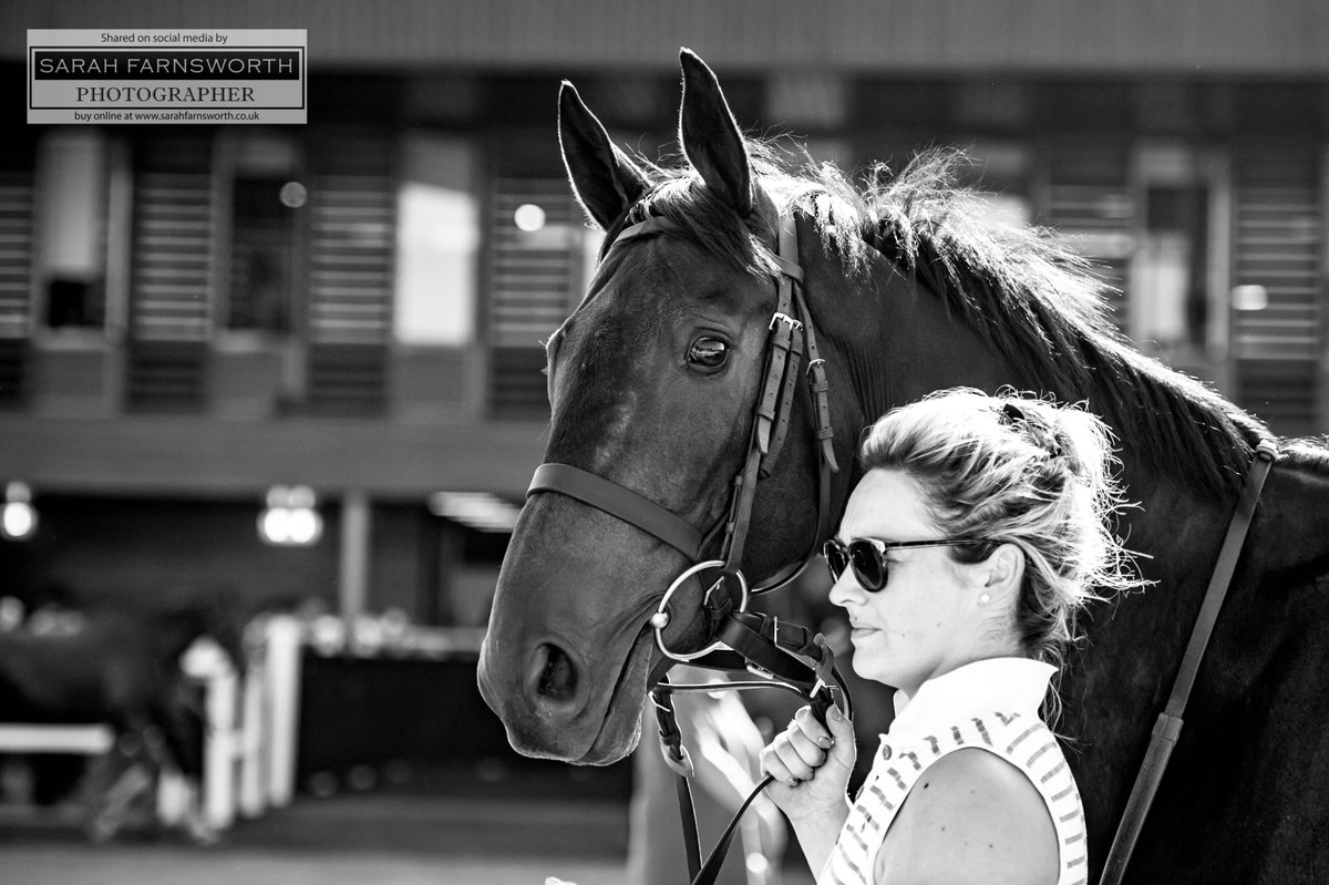 s_farnsworth1's tweet photo. Today's top lot prior to going into the sales ring @GoffsUK https://t.co/FGiDVW3s26