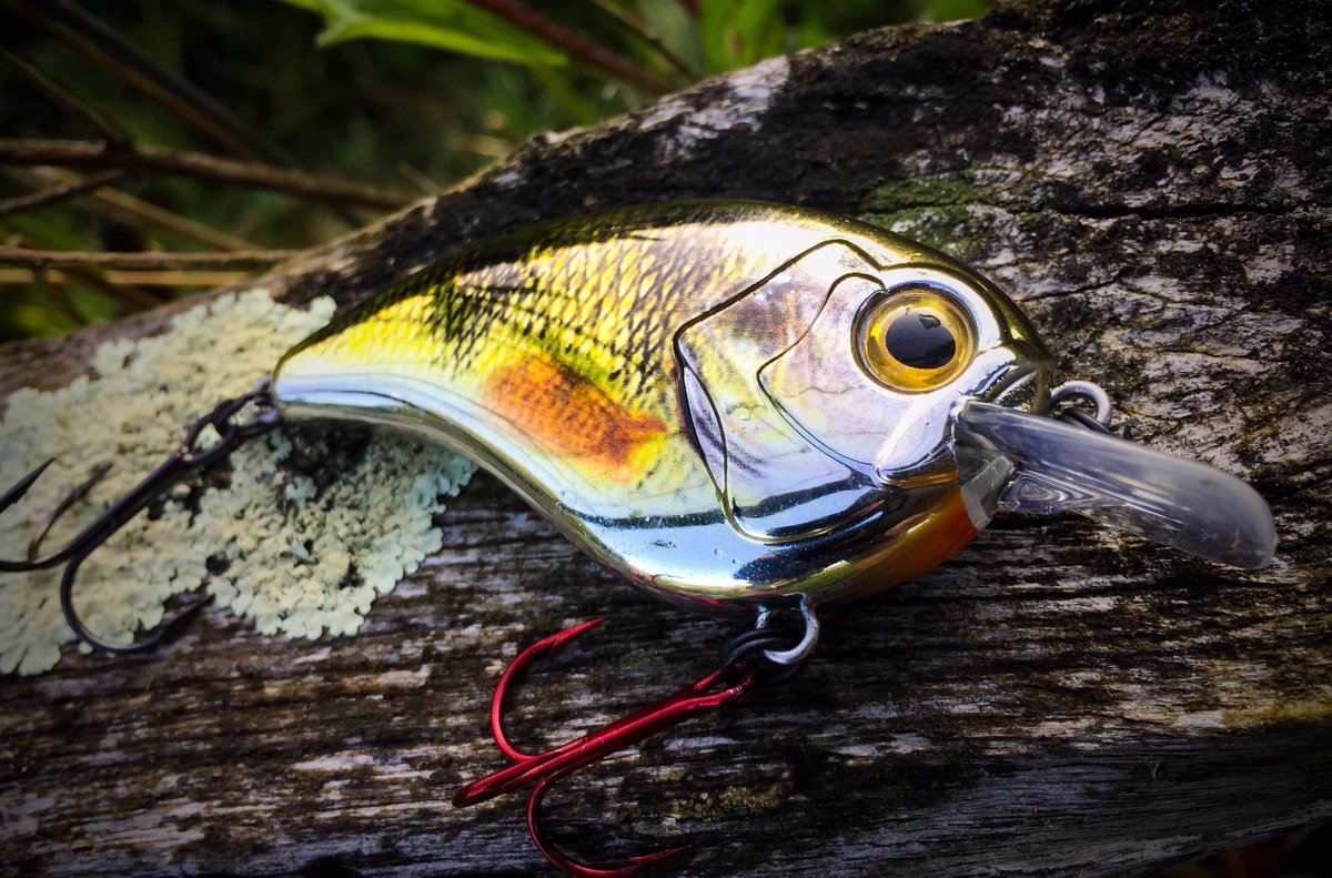 Hmmmm.... the Spro Ikuru range are in a world of their own !#keepthefuninfishin #crankbait <a href="/jasonvorster01/">Jason</a> <a href="/sprofishing/">Spro fishing</a> <a href="/GamakatsuUK/">Gamakatsu U.K.</a>