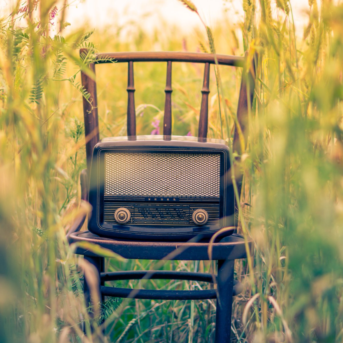 Simple_Intent's tweet image. Change the channel on your state of mind. Very special new #Blog post from Larry Ward of the Lotus Institute bit.ly/2rZxDEL