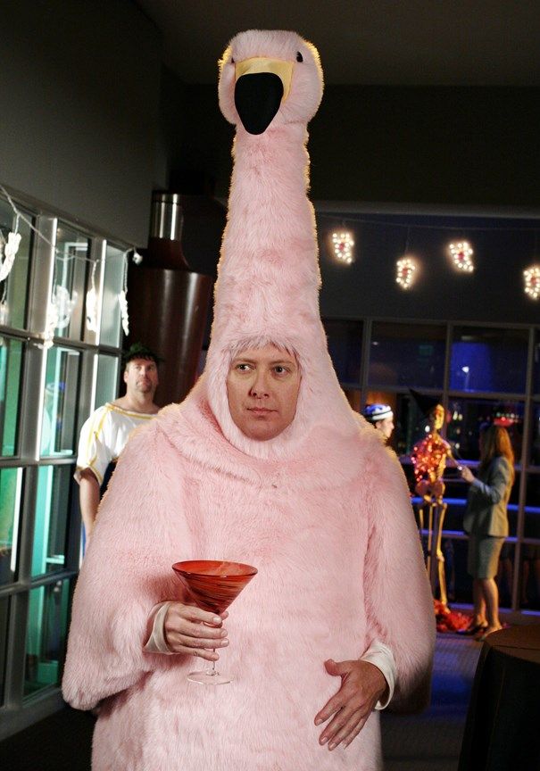 SpaderIsland's tweet photo. Who else misses Alan Shore? #BostonLegal https://t.co/hXf9wzpCwj