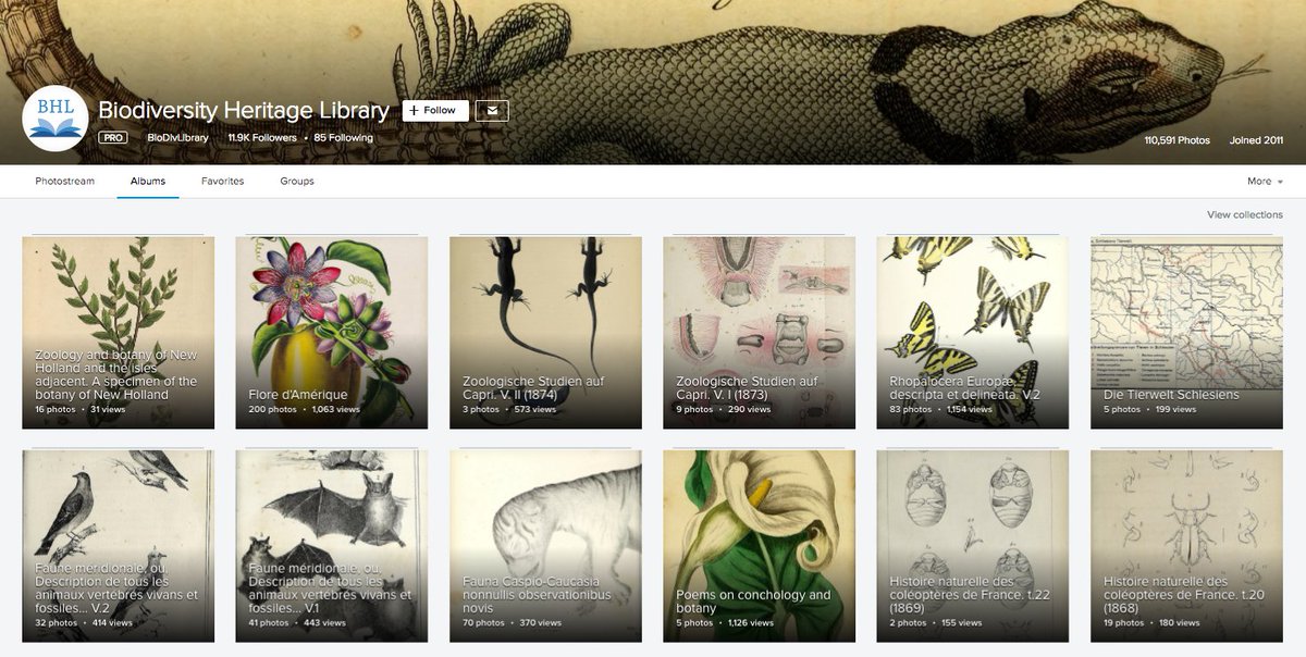 110k FREE illustrations of biodiversity from <a href="/BioDivLibrary/">Biodiversity Heritage Library</a>, organized into hundreds of albums. Wow!

flickr.com/photos/biodivl… h/t <a href="/jkottke/">Jason Kottke</a>