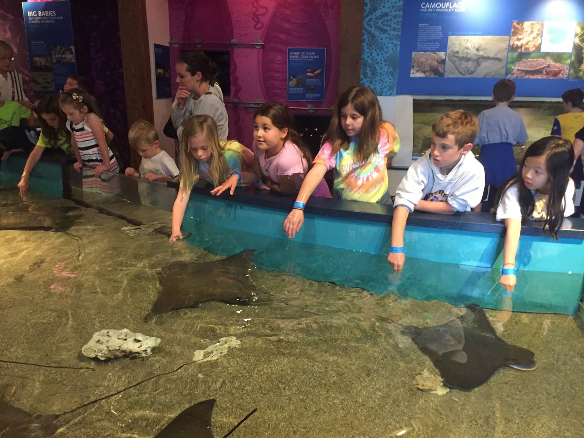 Danielle Camerato tweet media