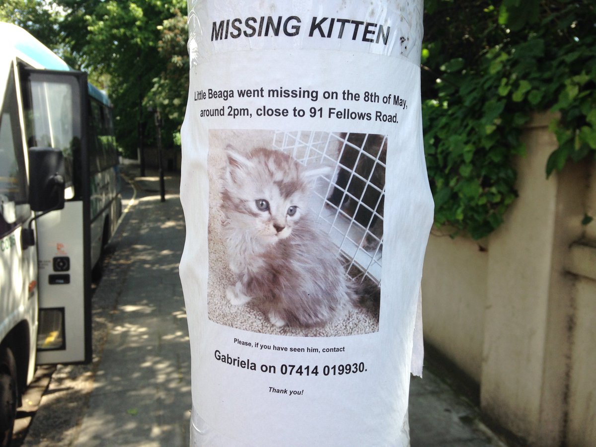 Hampstead tweet media