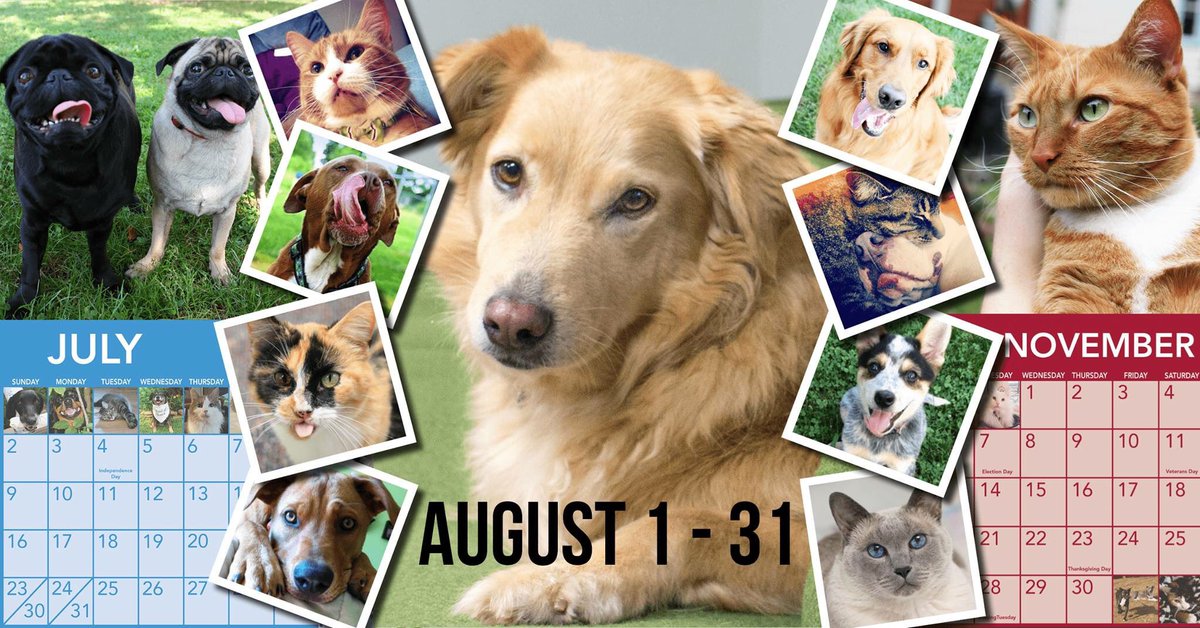 PetsAliveIN's tweet photo. Are your #pets 📷ready? RSVP to our Pet Photo &amp; Calendar Contest starting Aug 1 #PhotoContest #spayandneuter https://t.co/Y8xxeJOuuN https://t.co/twL30awhu0