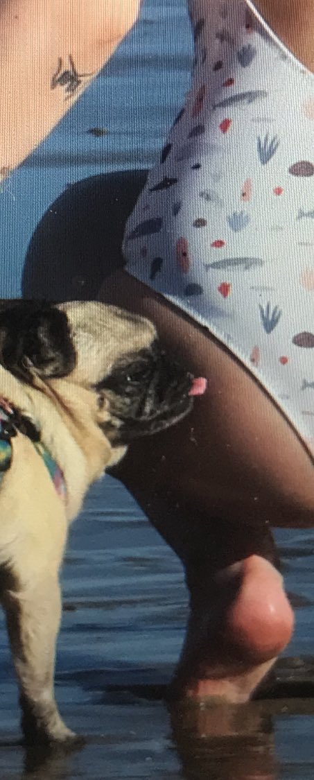 MarziaPie's tweet image. Felix was taking photos down at the beach. I scroll through and see this...
Maya. What. You perv.