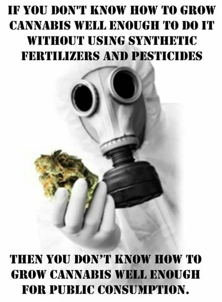 ElevatedBD's tweet image. ✌️