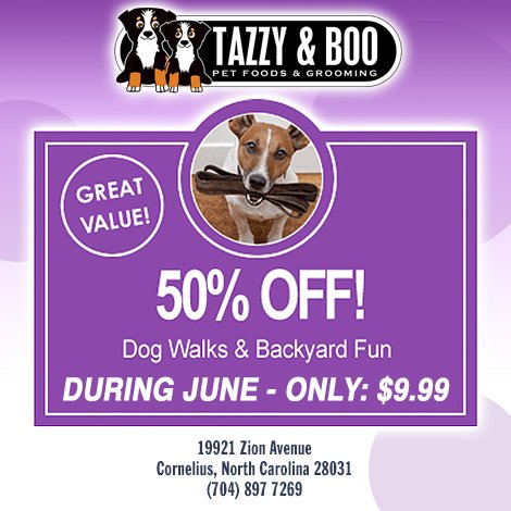 TazzyandBoo's tweet photo. We've extended our offer to include the month of June! Book your walks at https://t.co/lolwrSqV9b #dogwalking #LKN #dogsoftwitter https://t.co/wybVpZ3yo1