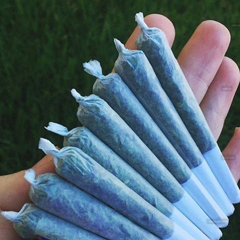 TahoeHydro's tweet photo. Who would like to see some Tahoe Hydro pre-roll joints???
#Cannabis #Mariujuana #PreRoll
https://t.co/iYUewAAAbu https://t.co/IehZC8anoA
