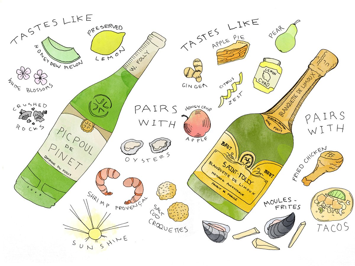 AWM_UK's tweet photo. The "Other" French White Wines of Languedoc | Wine Folly https://t.co/e5Gr73eQwC #wine #winetasting #wineideas #winelover #winery https://t.co/OWsQvBjkAu