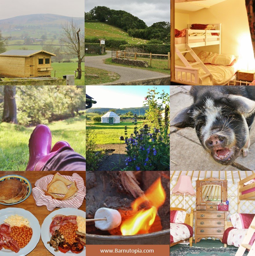 Go Glamping Glamping Twitter