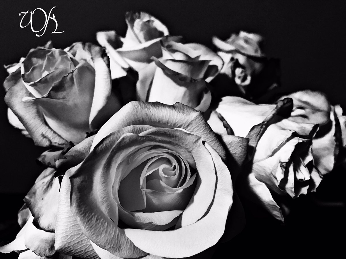 oglenz_'s tweet photo. 📷📸 #photography #photogrid #pics #art #advertising https://t.co/o43C6gzQeu