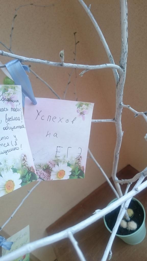 Дерево желаний! Удачи всем на экзаменах!