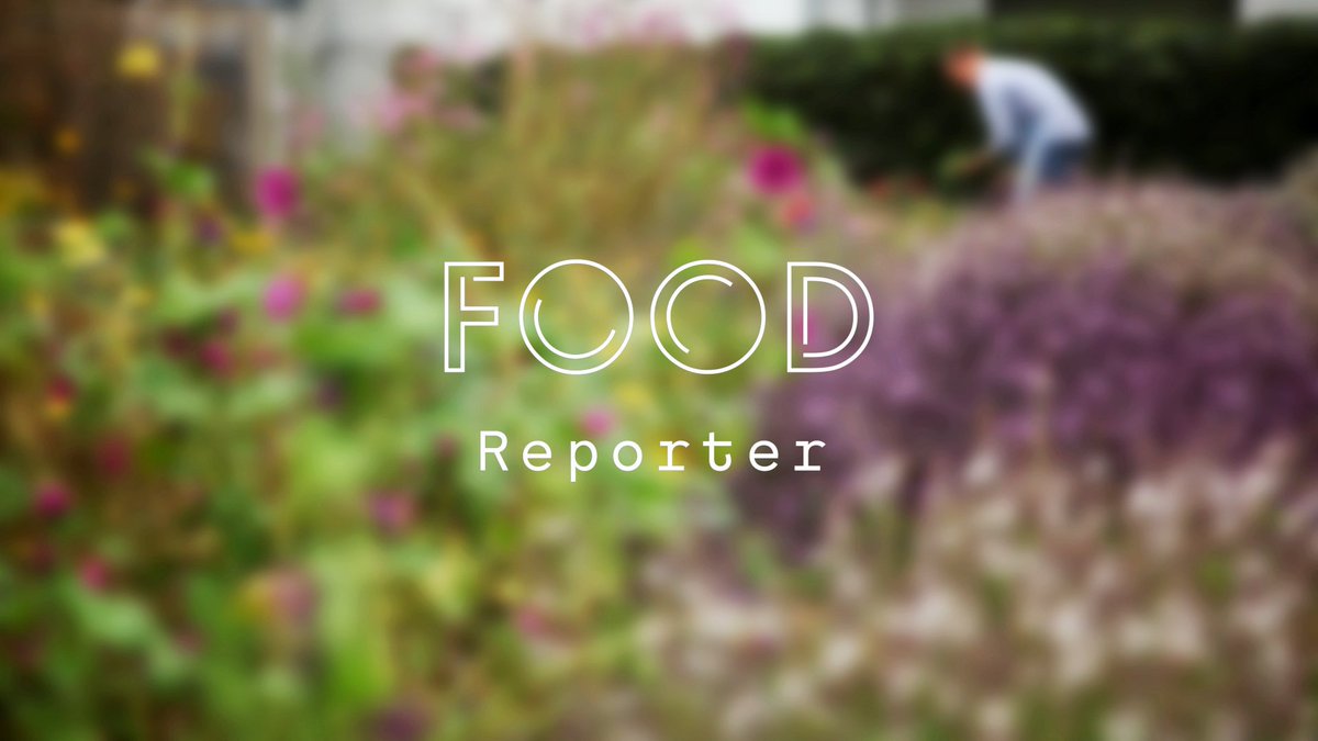 Food Reporter tweet media