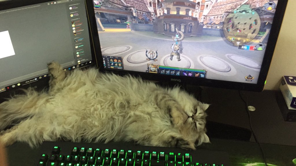 catsporn's tweet photo. It's been a long week https://t.co/6W22vvDXBC