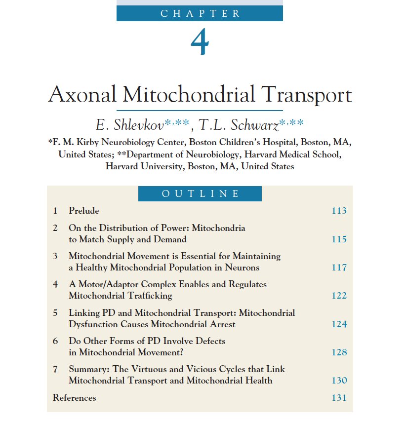 Shlevkov's tweet photo. Our chapter on mitochondrial trafficking and Parkinson's disease is available here: https://t.co/gSoiq1Vdh6. Ask in private for more info https://t.co/8uFcJ1e59R