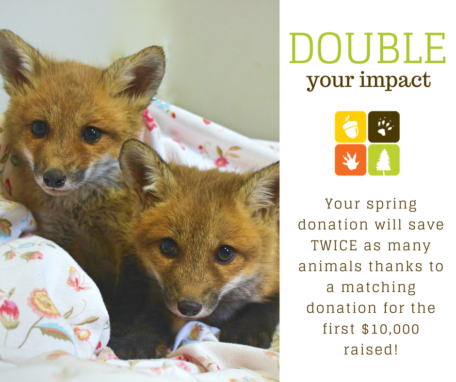 Your donation will save twice as many lives thanks to a matching donation for the first $10000 raised! Donate at goo.gl/LhRyKe