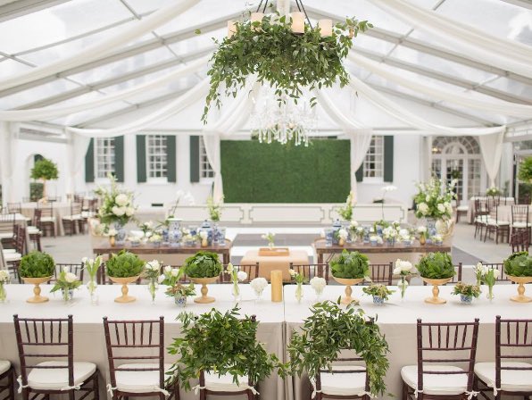 SnyderEvents's tweet image. Unbe(leaf)able 🌱🌿🍃
#tbt #snyderevents