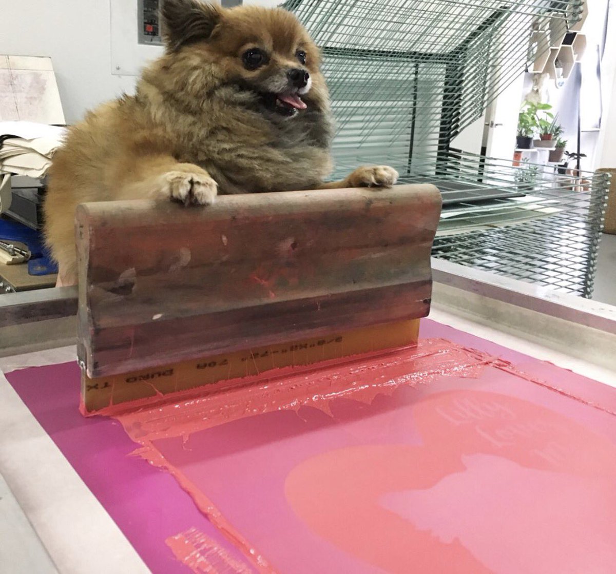 Electric Ghost tweet media