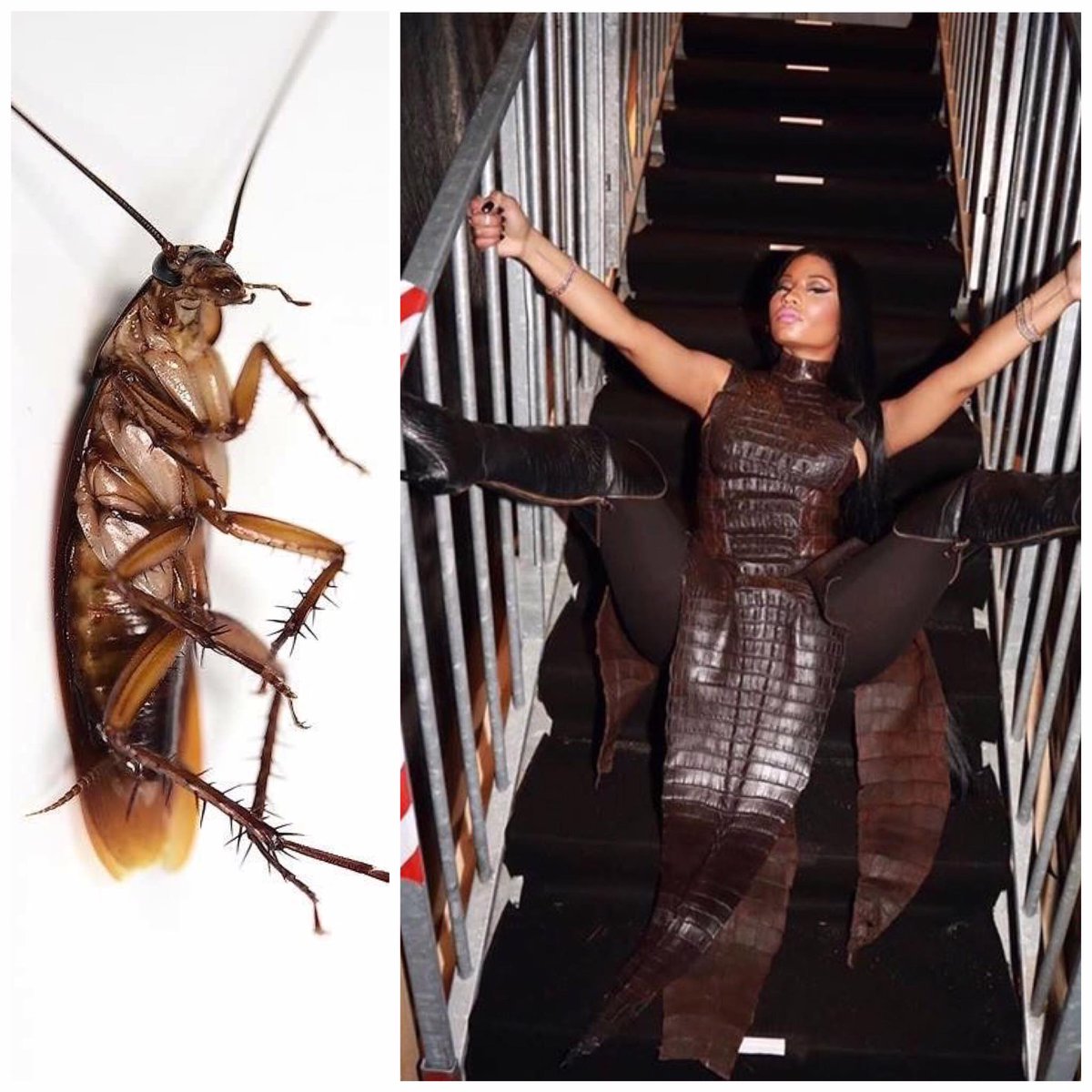 QuezNC's tweet photo. Queen Bee @LilKim I believe it's time to spray that raid you spoke of!!! #TwitterRoach https://t.co/FFpWGSnfic