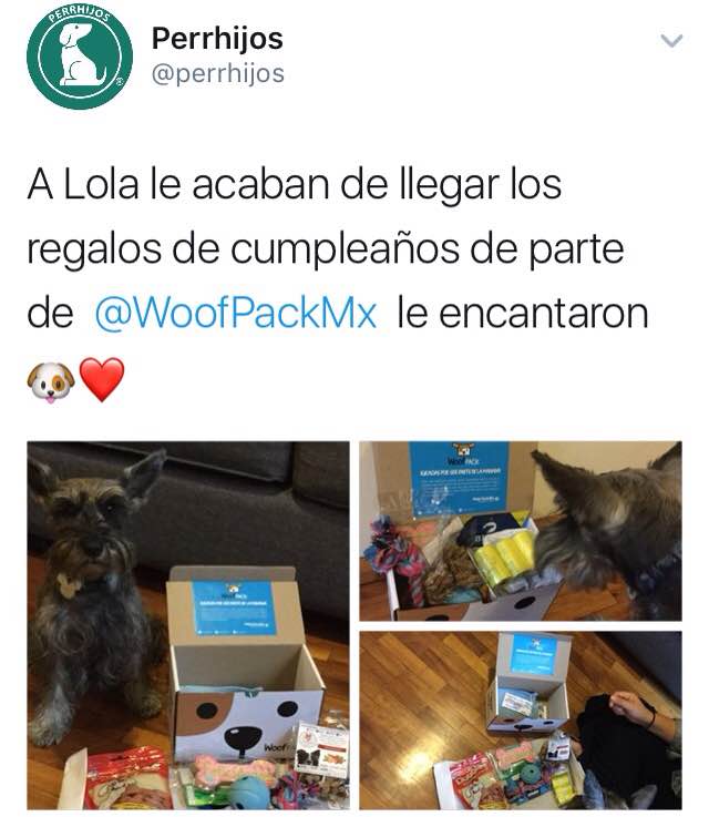 dogiftmx's tweet photo. Wow! Así recibieron su @WoofPackMx con premios #dogift dentro. Haz feliz a tu perrhijo con una caja mes con mes! https://t.co/YvLA9m0dmT