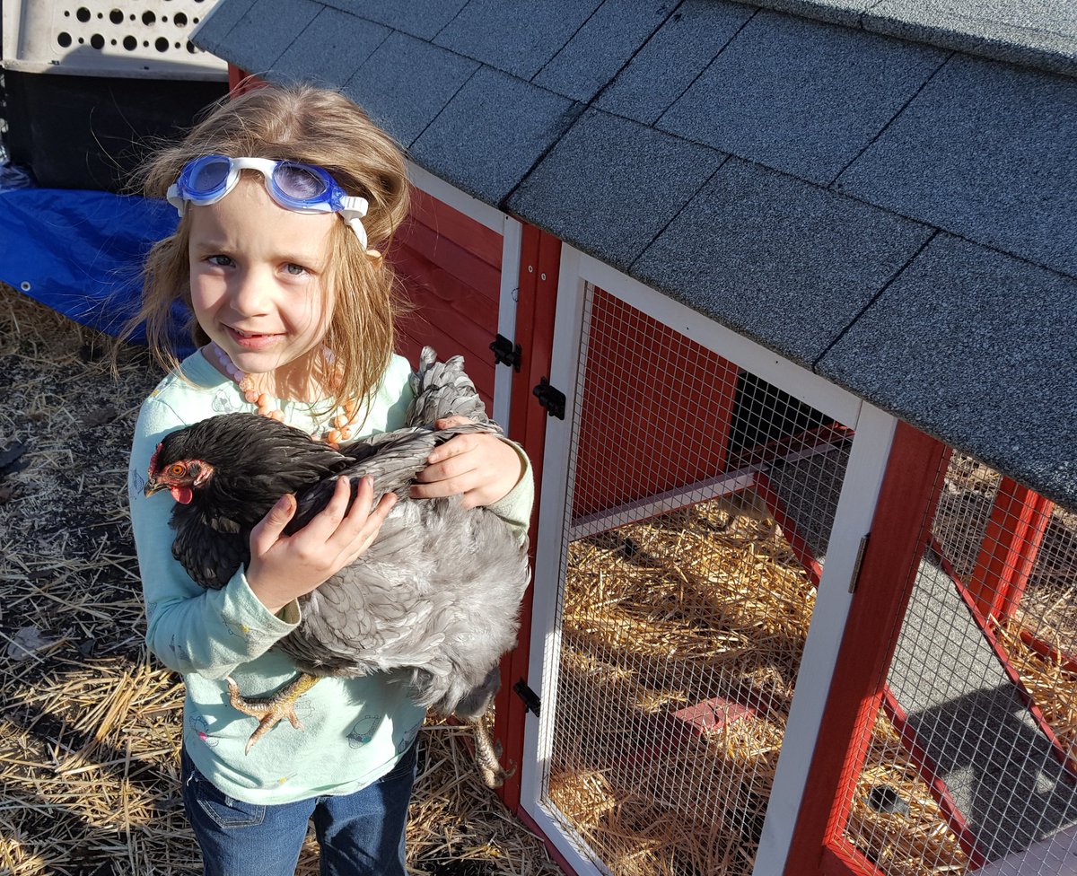 Have you ever been so nervous about the possibility the dogs would lick your eyes that you wear goggles? #farmgirl