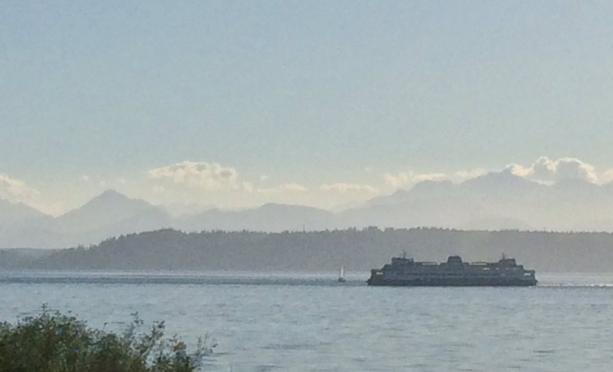 IanSterling100's tweet photo. Meanwhile in #Edmonds... https://t.co/cIcBVywD9z