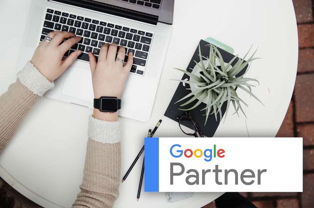 Elevate DDS tweet media