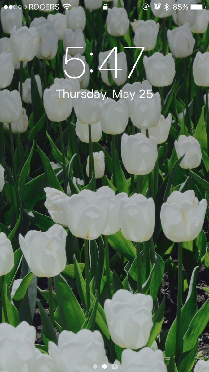 Kikikeka's tweet photo. When your sister is such a good photographer she supplies your phone backgrounds 😍 @_keka99 https://t.co/SaV23gPMlK