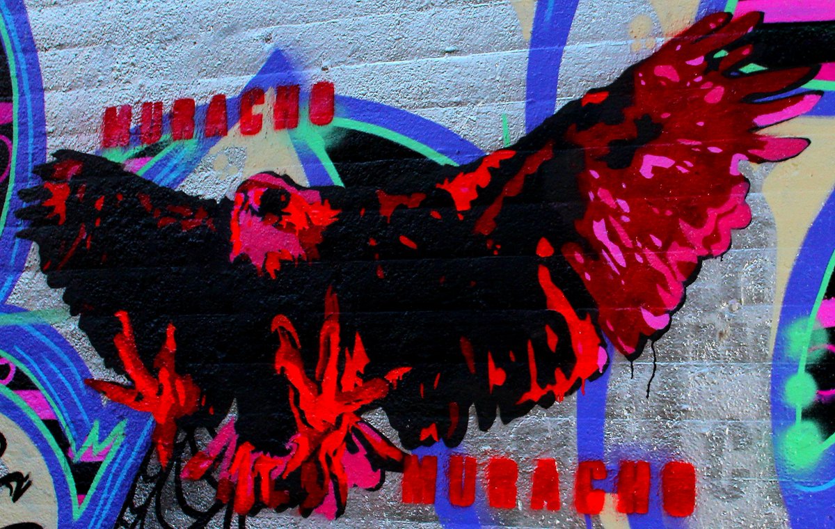 AMuracho's tweet photo. Red seehawk in hamburg germany
#Muracho #pore #acm #graffiti #bombing #StreetArt #HamburgStreetArt #HamburgGraffiti #Stylefile #ILoveGraffii https://t.co/3eUoEYl7WO